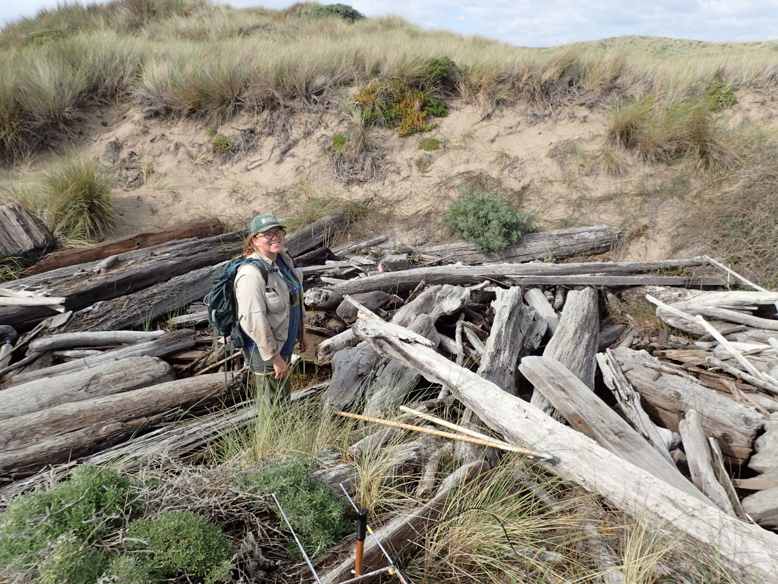 01 Rana draytonii log jam
